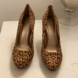 BCBGeneration Calf Skin Leopard Print Stilettos